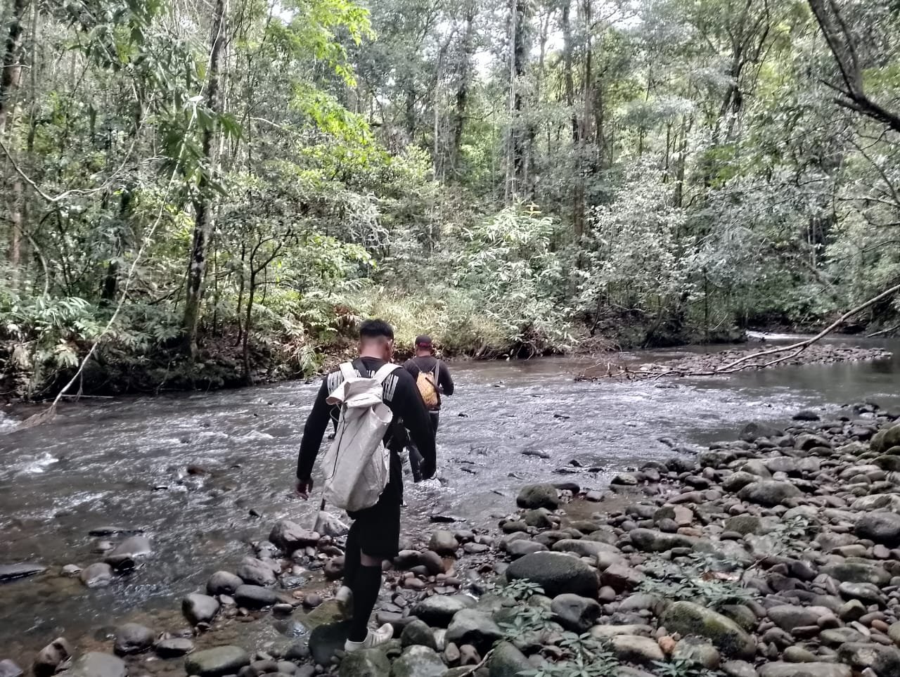 Pemuda Data Dian Lakukan Survei Hutan Desa